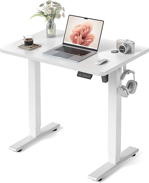 Fezibo Electric Standing Desk