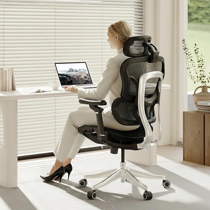 FLEXISPOT ErgoX Max